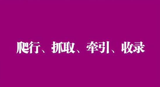 淄博seo教您怎样才能提高蜘蛛抓取量