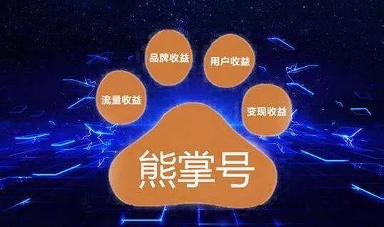 网站优化为什么要重视熊掌号?