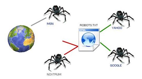 什么是搜索引擎蜘蛛?蜘蛛爬行策略有哪些?