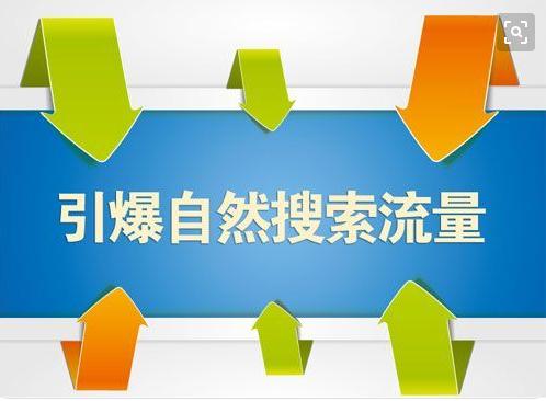 影响网站SEO自然搜索流量的原因是什么?