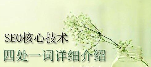 深圳SEO中“四处一词”是什么意思?有什么作用?