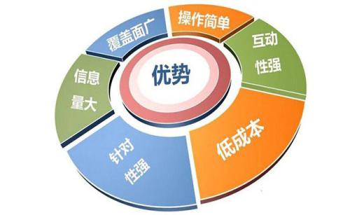 上海SEO浅谈网络营销的优势和劣势