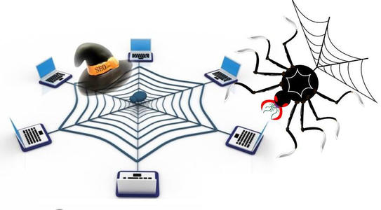 SEO服务之蜘蛛池对网站优化有什么作用