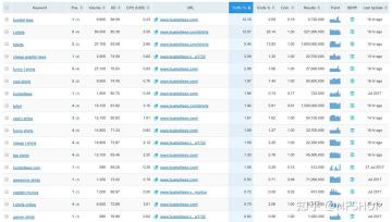 SEO入门基础指南（seo入门新手该做什么和怎么学）