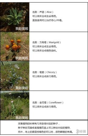 《森林》合成表大全2022（4分钟教你森林最完整的武器合成配方图文流程）