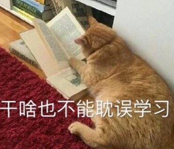 电脑开机显示英文不动了怎么办（4种方法解决计算机开机出现英文故障问题）