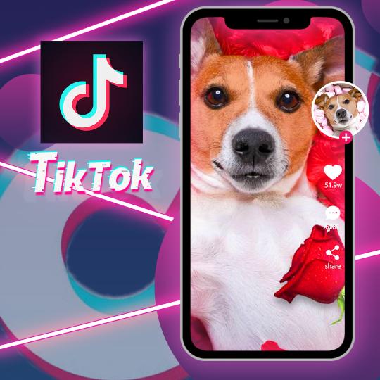 抖音tiktok投放不通过怎么回事（附7大Tiktok For business常见不过审的原因）