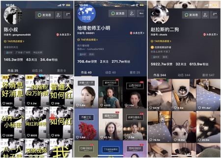 抖音标签是怎么打上的（解析抖音用户标签和视频作者标签的重要性）