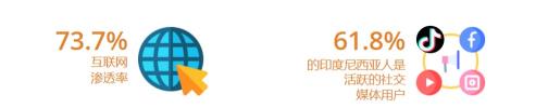 印度尼西亚电商发展情况（附tiktok东南亚市场发展的全面分析）