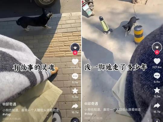 去年10月抖音内容生态呈现出增长乏力的涨粉态势（附详细分析1000个抖音账号内容生态呈现出怎样的发展趋势？）