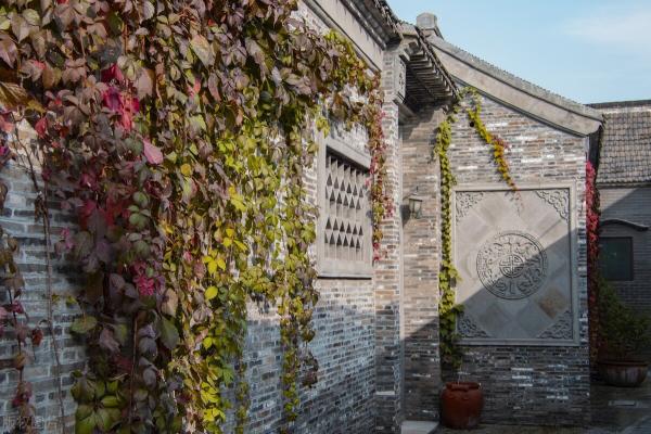 抖音吸粉文案怎么样写才吸粉（抖音吸粉文案100句，建议收藏）