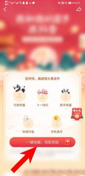 抖音头像上的小熊猫怎么弄？（抖音头像想要设置熊猫挂件的操作方法分享）