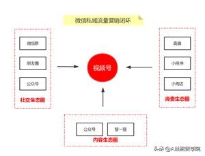 微信视频号运营攻略（视频号有3个显著的优点和运营技巧分享）