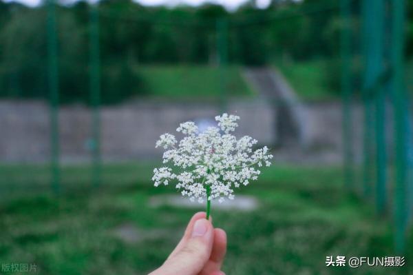 手机拍照技巧从入门到精通都有哪些？（分享12个效果最好的拍照构图技巧）
