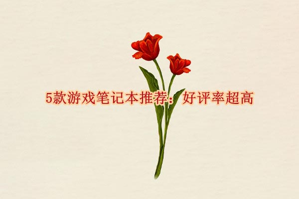 2022年口碑最好的游戏笔记本有哪些？（附5款高性价比比较好的笔记本电脑推荐）