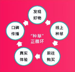 为什么要做小红书SEO优化？（附小红书SEO排名优化的5个技巧分享）