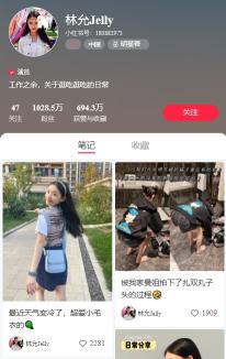 小红书的用户类型是怎样的？（小红书的用户可以分为素人、达人、KOL和明星艺人）