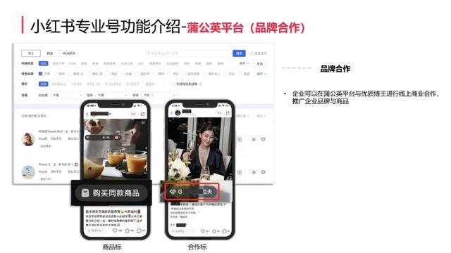 小红书号店一体制新规介绍（附新规对小红书社区带来哪些重大变化）
