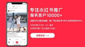 小红书达人投放策略（小红书推广如何选择合作达人投放）