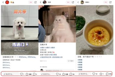小红书账号怎么检测（如何辨别小红书笔记优质账号？）