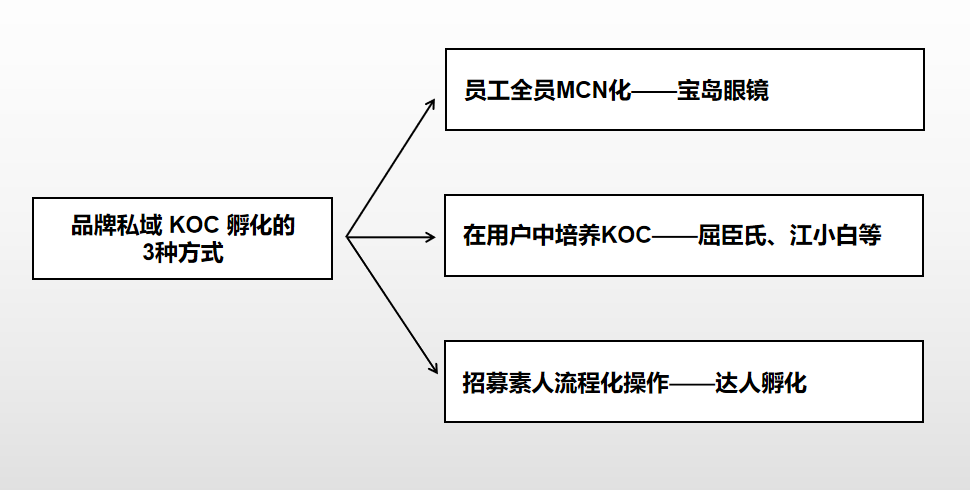 私域运营策略（附拆解品牌私域KOC孵化的3种打法）