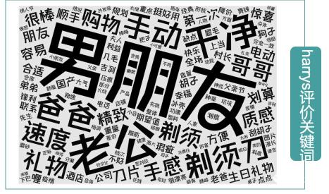 市场营销战略有哪些（品牌营销SOP投放报告分析）