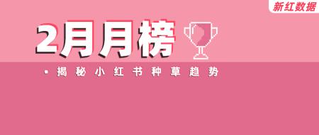 小红书涨粉数据（新号涨粉11w，获赞258.48w，小红书2月创作内容趋势是什么？）