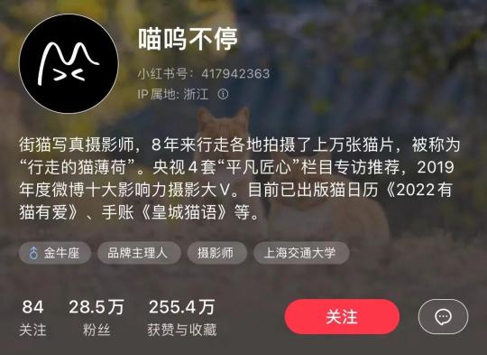 小红书涨粉丝最快的方法（小红书个人博主如何快速涨粉？拆解1年涨粉88万的君君辅食记）