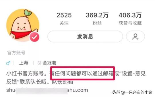 小红书如何吸引流量（利用小红书找精准流量，5招送你上热门）