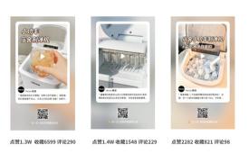 小红书运营本质和逻辑（应坚持选品＞形式＞内容，三者统一有序进行）