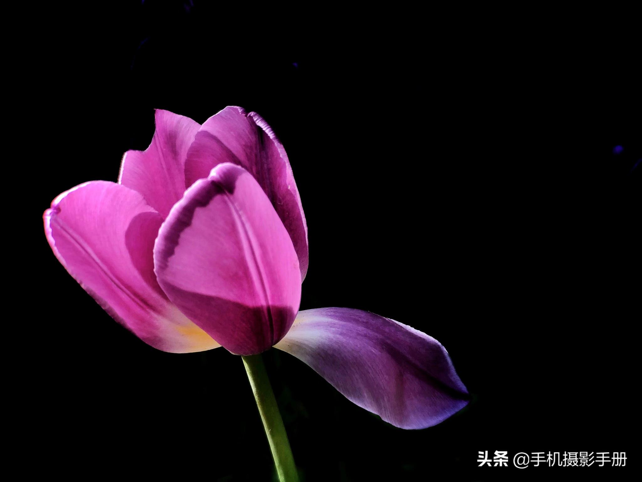 人像摄影黑背景怎样调出来的（分享3个照片黑背景效果的拍摄技巧和4种修图手法）