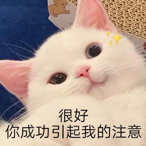 视频号名字怎么取好听（深入拆解视频号名字，6个取名技巧照搬）