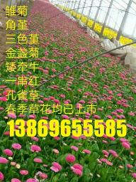 百度新规则细雨算法（重点说B2B领域站点究竟应该怎么做？）