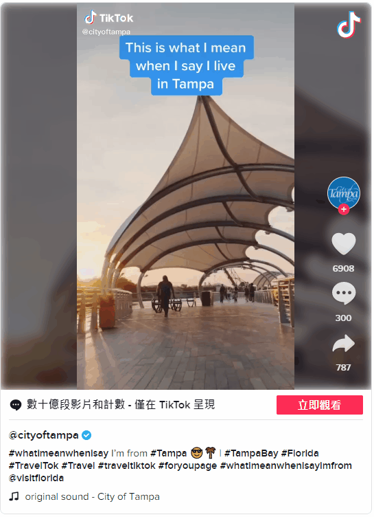 tiktok国际市场营销策略（附5种适合商业营销的TikTok趋势）