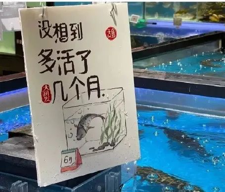 品牌营销策略分析（附毕业季品牌营销洞察和思考）