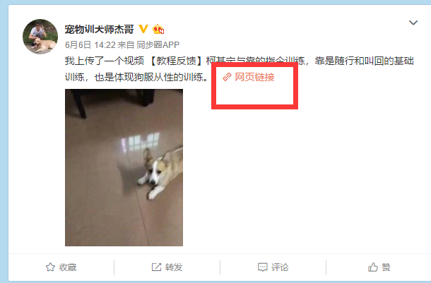小红书怎么推广引流（小红书APP精准引流，从注册到引流一步一步带你实操）