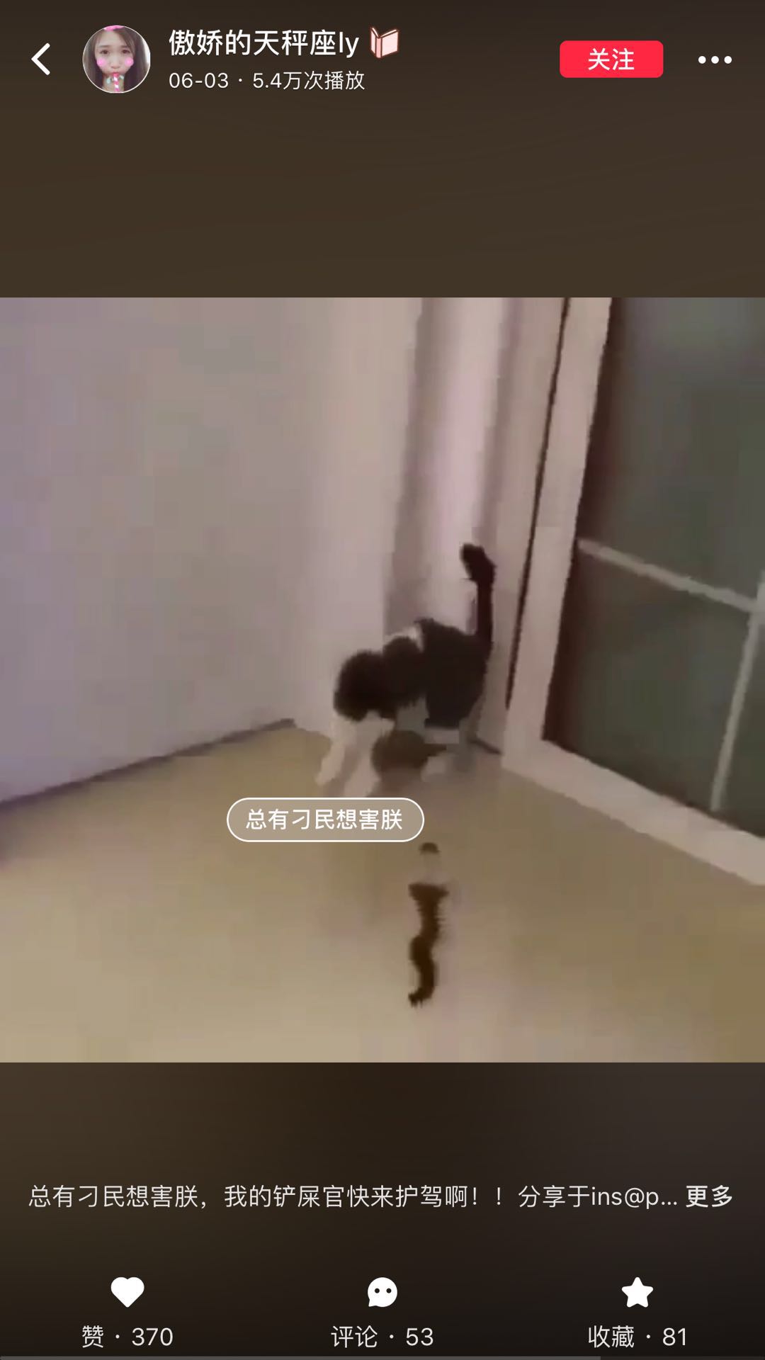 小红书怎么推广引流（小红书APP精准引流，从注册到引流一步一步带你实操）