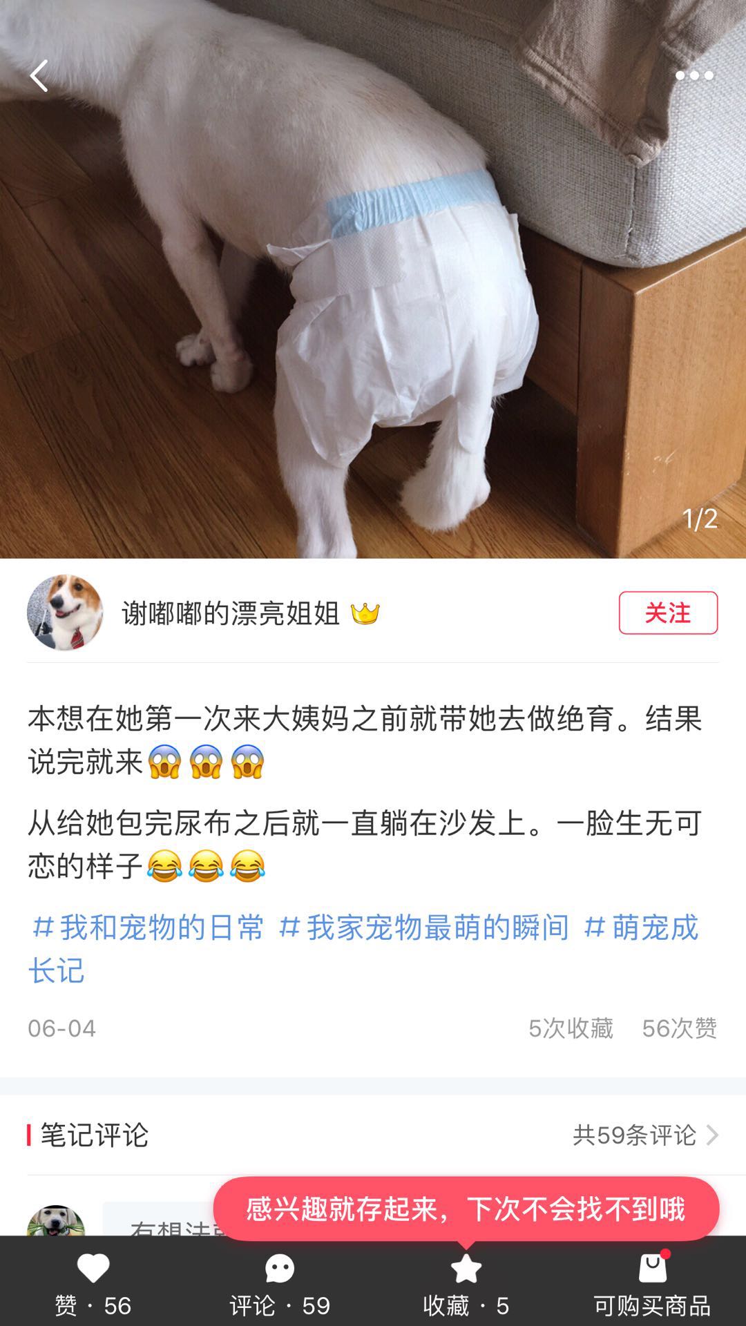 小红书怎么推广引流（小红书APP精准引流，从注册到引流一步一步带你实操）