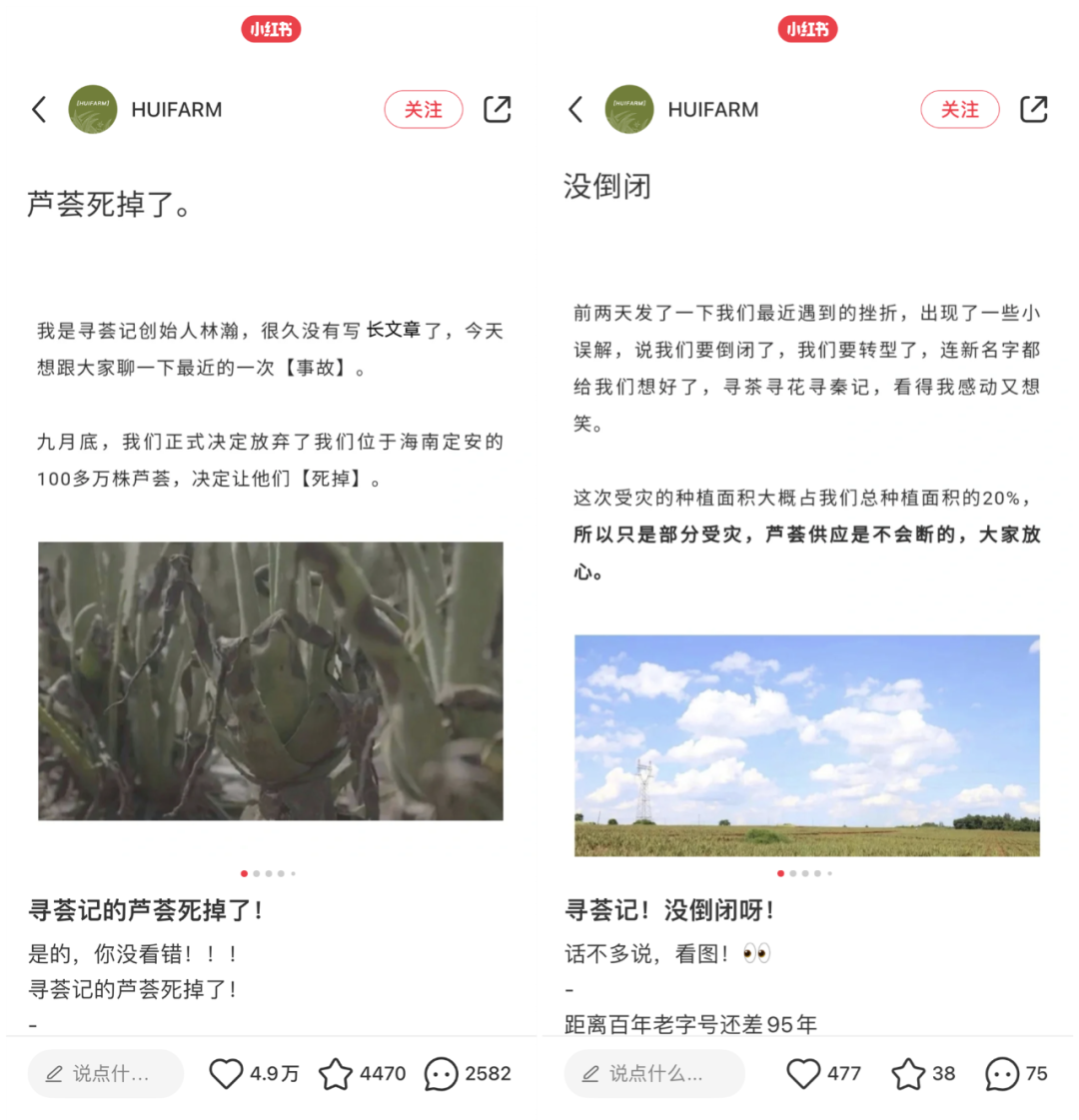 小红书差异化营销策略（小红书品牌如何实现迭代式突破？）