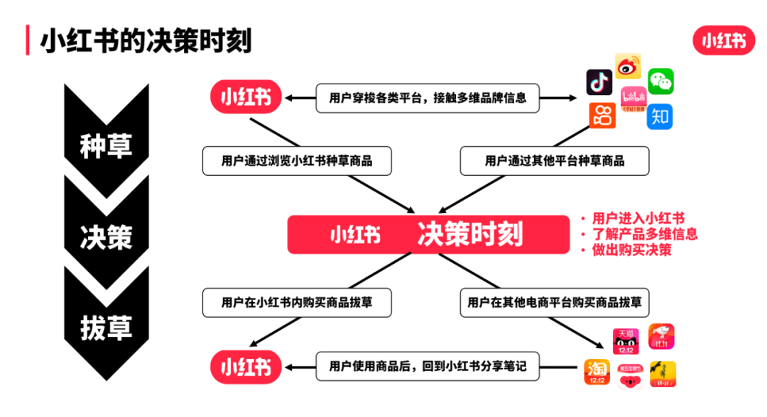 双十一小红书的营销策略（双十一冲刺期！小红书品牌营销攻略）