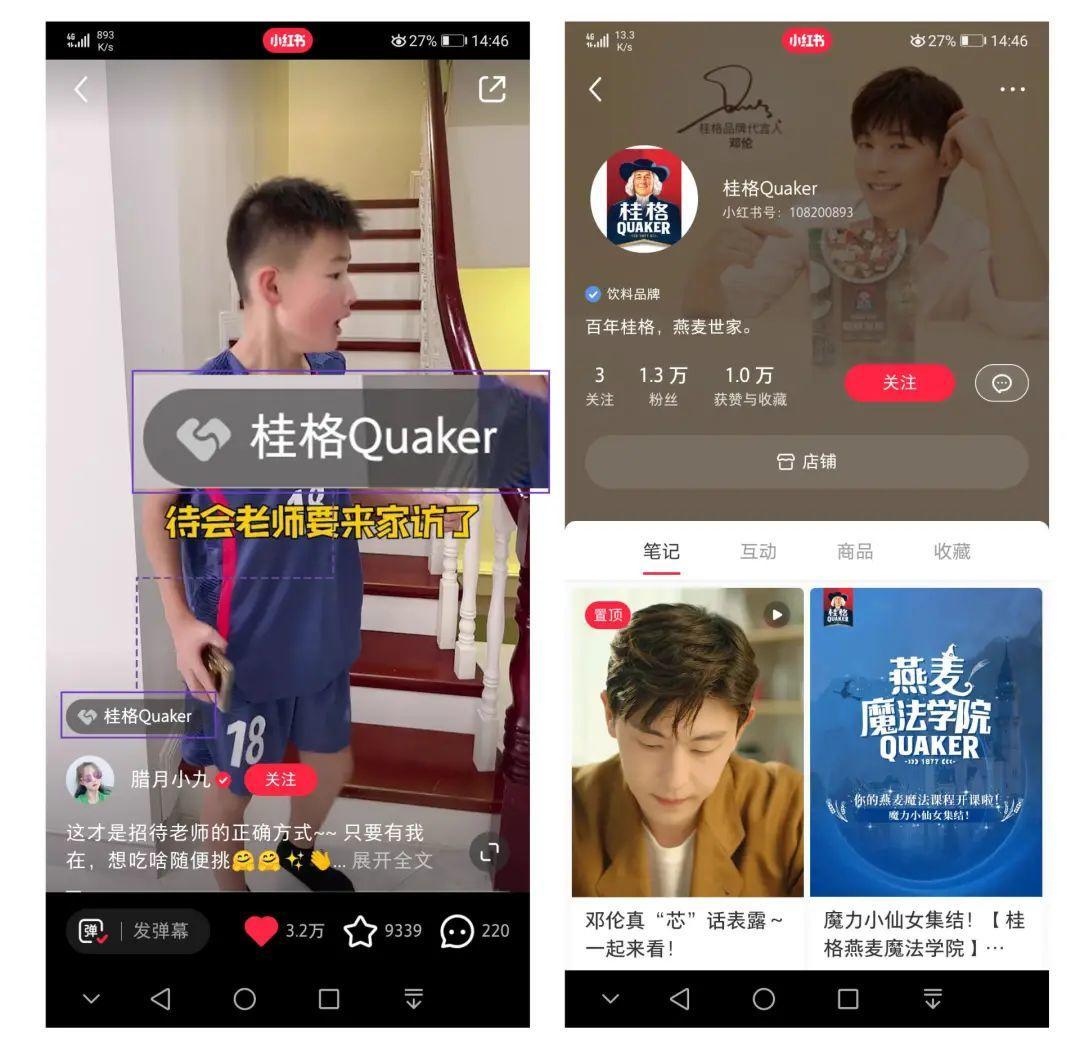 小红书怎么开专业号（小红书专业号实操指南，巧用完美日记私域打法）