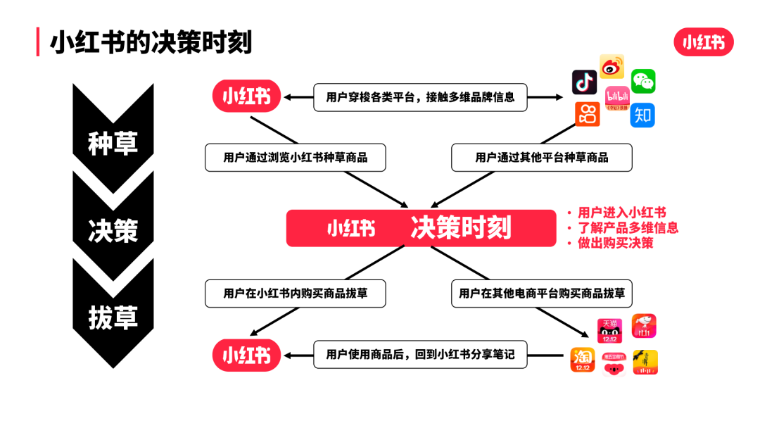 小红书怎么开专业号（小红书专业号实操指南，巧用完美日记私域打法）