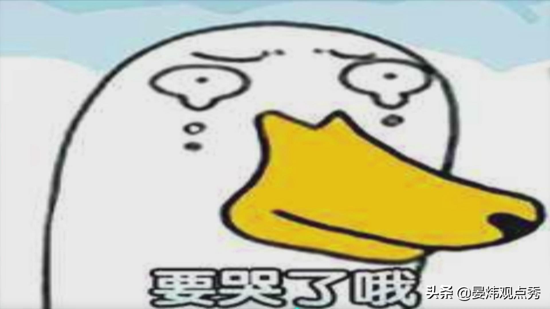 抖音上流行那个小黄鸭那个叫什么（附抖音上的各类网红鸭）