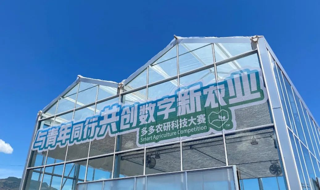 拼多多的模式能走多远（拼多多到底还能走多远？取决于一个问题）