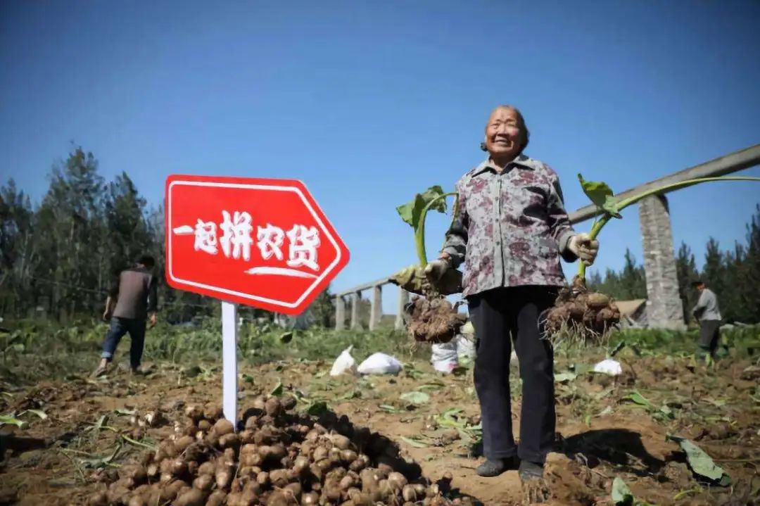 拼多多的模式能走多远（拼多多到底还能走多远？取决于一个问题）