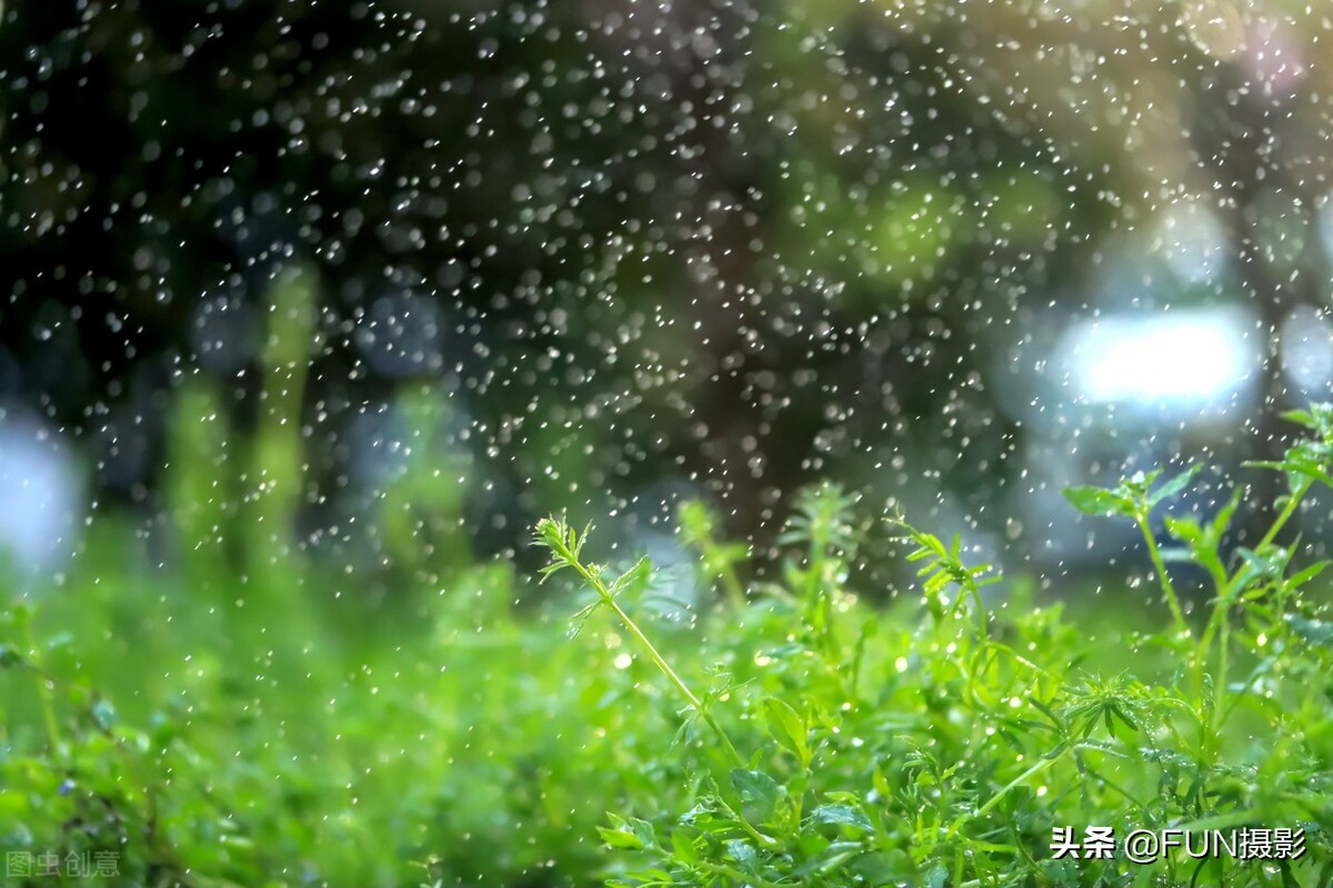 下雨天怎么拍照片好看（附6个技巧拍出下雨天的故事摄影大片）