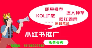 小红书KOL营销（解读小红书平台新功能KOL内容变现的3大增长点）