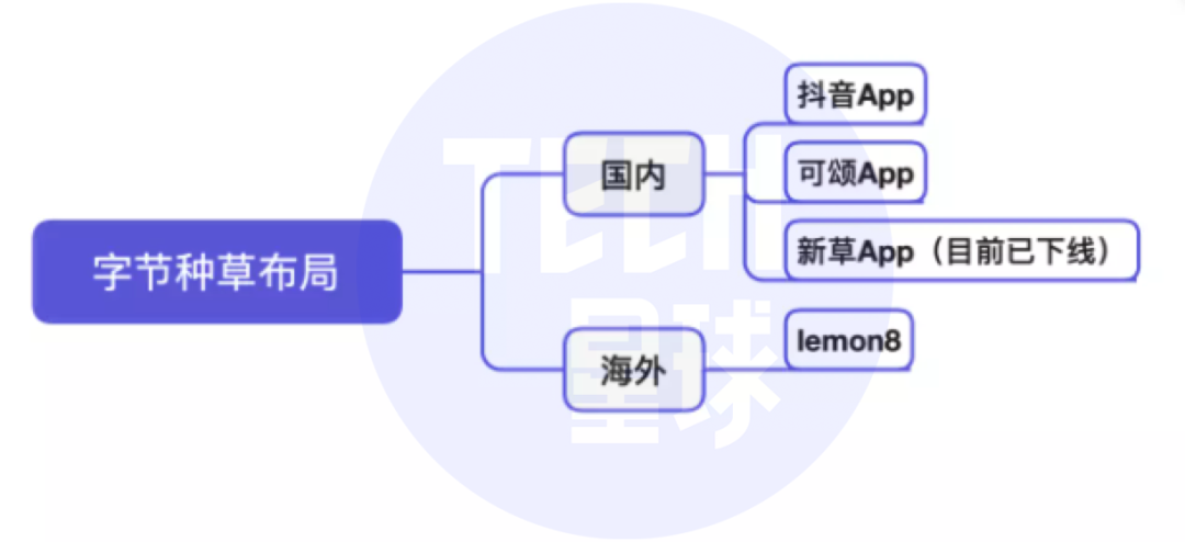 抖音里的种草达人（抖音将推独立种草App“可颂”）