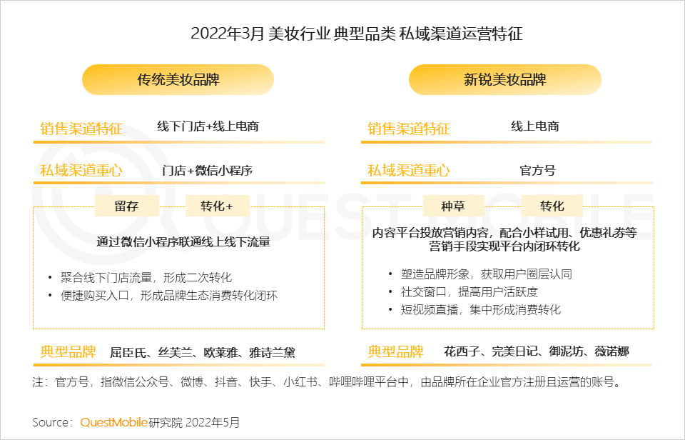 品牌渠道策略分析（消费品牌渠道布局策略洞察）