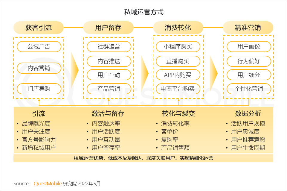 品牌渠道策略分析（消费品牌渠道布局策略洞察）